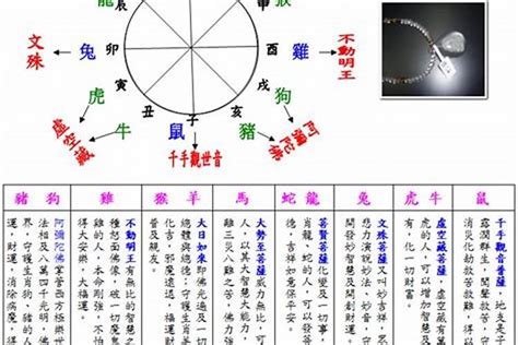 2003五行属什么|2003年羊五行属什么命？详解属羊人的性格和运势